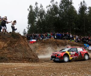 Site4422-ogier-chili19-rbcp