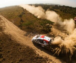 Site4424-ogier-safari21-rbcp