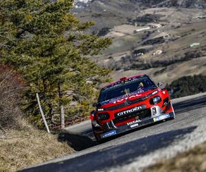 Site1228-ogier-testmc19
