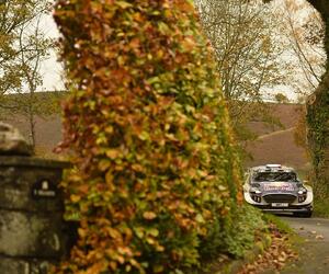 Site9449-ogier-wales17