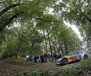 zipallemagne539-ogier-allemagne16