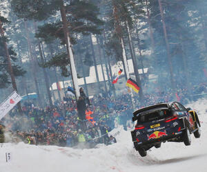 Site7446-ogier-suede17