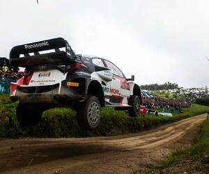 Site2335-ogier-portugal22-rbcp