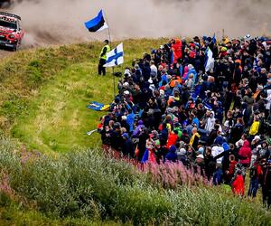 Site4448-ogier-finlande19
