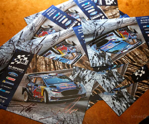 Site7701-ambiance-suede17