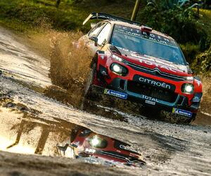 Site5575-ogier-argentine19