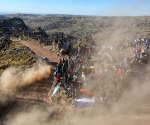 Site4234-ogier-argentine17