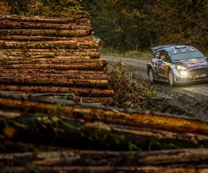 Site9732-ogier-wales17