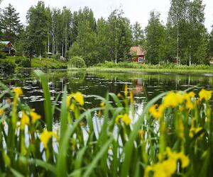 Site1836-ambiance-finlande24
