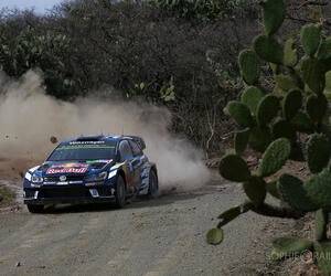 Rally Mexico