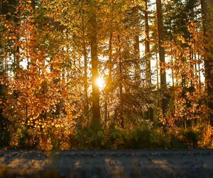 Site1835-ambiance-finlande21