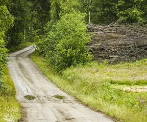 Site3842-ambiance-finlande17