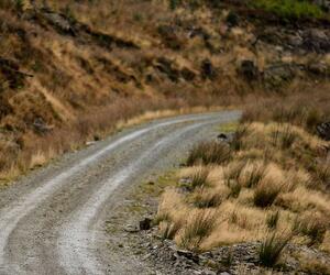 Site9854-ogier-wales17