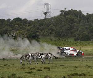 Site1340-ogier-kenya23-rbcp