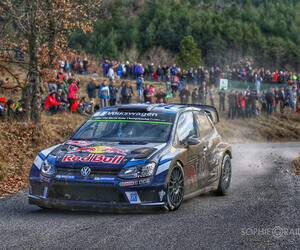 Rally Monte Carlo