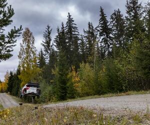 Site1543-ogier-finlande21