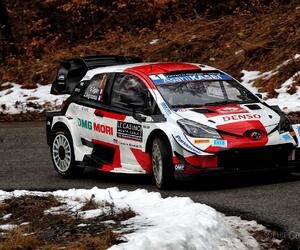 Site2626-ogier-monte21