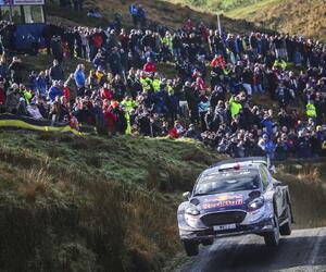 Site9525-ogier-wales17