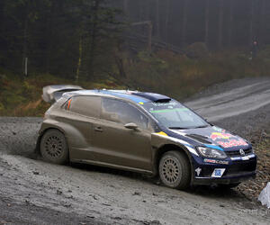 GBR5428-ogier-gbr16