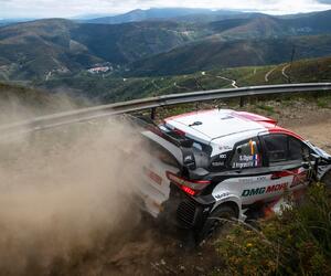 Site5509-ogier-portugal21-rbcp