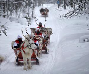 Site2840-ogier-arctic21