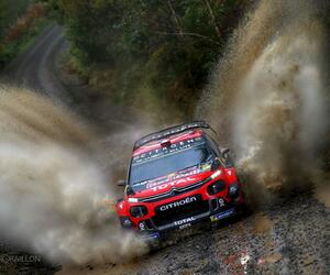 SIte5460-ogier-wales19