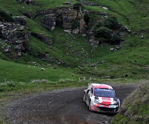 Site1509-ogier-nz22