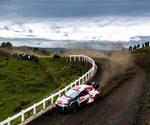 Site1740-ogier-nz22-rbcp