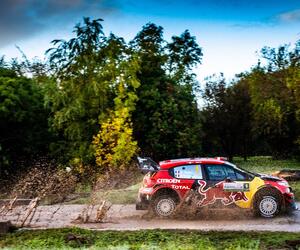 Site5540-ogier-argentine19