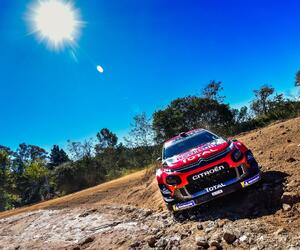 Site5329-ogier-argentine19