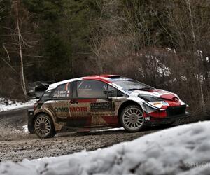 Site2419-ogier-monte21