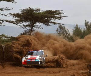 Site1340-ogier-safari22