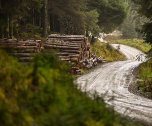 Site9848-ogier-wales17