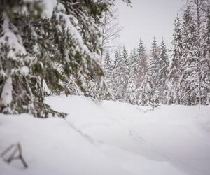 Site3934-ogier-suede18