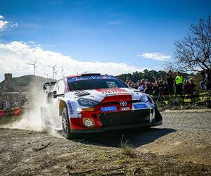 Site1415-ogier-cat22