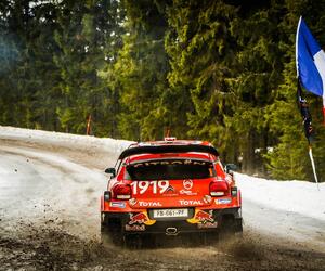Site4523-ogier-suede19