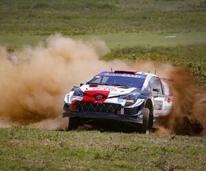 Site4824-ogier-safari21