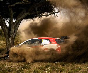 Site4521-ogier-safari21-rbcp