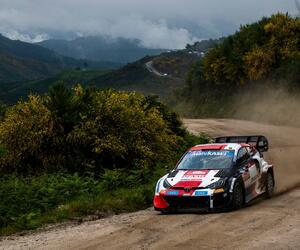 Site2318-ogier-portugal22-rbcp